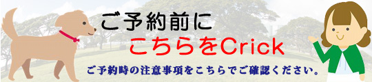 ご予約前にこちらをクリック